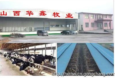 西门塔尔牛 改良肉牛养殖 短期育肥肉牛犊利润_农副产品_世界工厂网