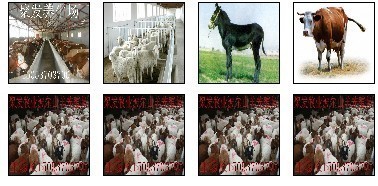 沂源肉牛养殖场$$沂源哪儿有卖肉牛苗的产品的资料 - 山东机电网