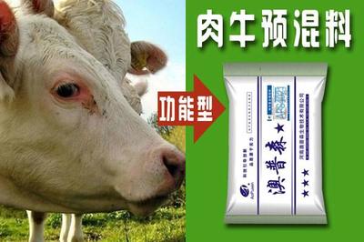 肉牛催肥用牛预混料图片|肉牛催肥用牛预混料样板图|肉牛催肥用牛预混料-河南澳普森生物技术