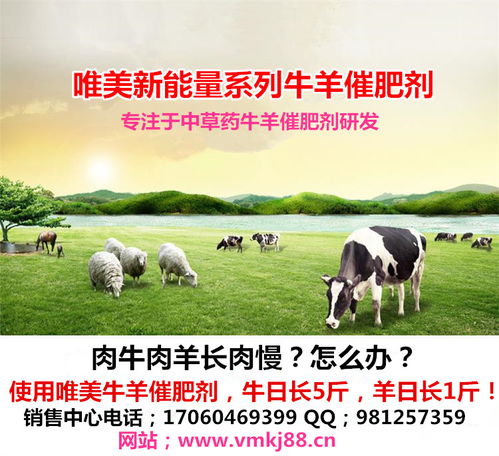 【肉牛催肥剂怎么选择?那家牛羊催肥剂厂家可靠?唯美牛羊催肥剂价格便宜】-