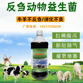 肉牛健胃不要只知道用小苏打用益生菌效果更好的
