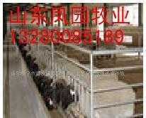 畜牧养殖牛羊肉牛育肥凤园牧业_农副产品_世界工厂网中国产品信息库