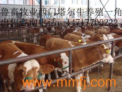 大量批发订做 手写笔手机绳 塑料手写笔 GPS手写笔挂绳 手机绳--东莞市杰仕饰品发布--E路风机网产品大全