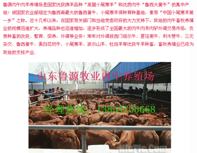 小尾寒羊养殖场--鲁源牧业肉羊批发_农副产品_世界工厂网