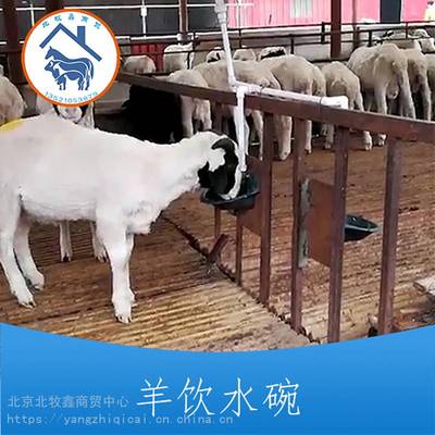 【育肥牛自动饮水设备 肉牛饮水碗干净好用图片】育肥牛自动饮水设备 肉牛饮水碗干净好用 - 北京北牧鑫商贸中心
